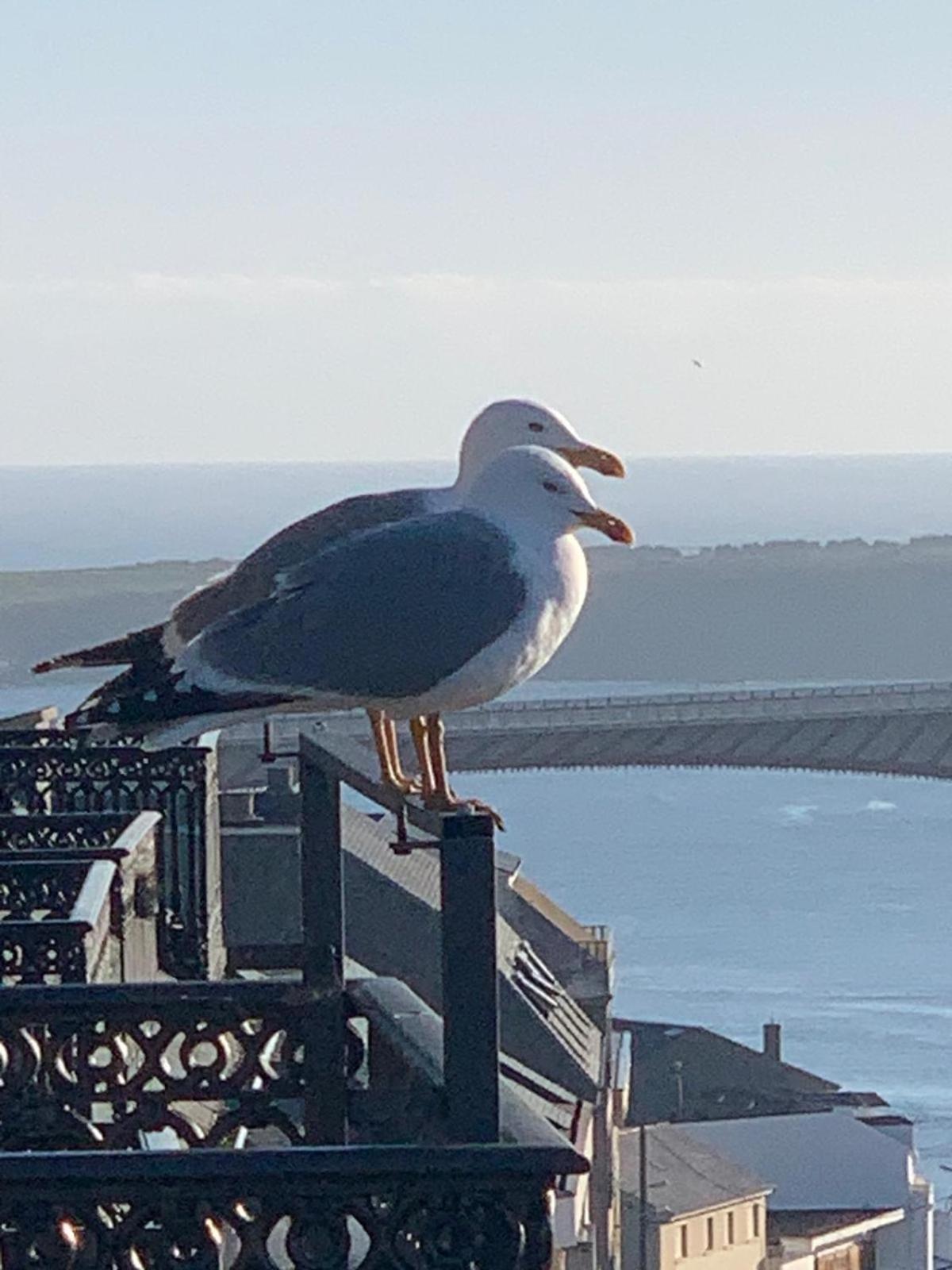 Moderno Piso Con La Mejor Terraza De Ribadeo Y Vistas Maravillosas Екстериор снимка
